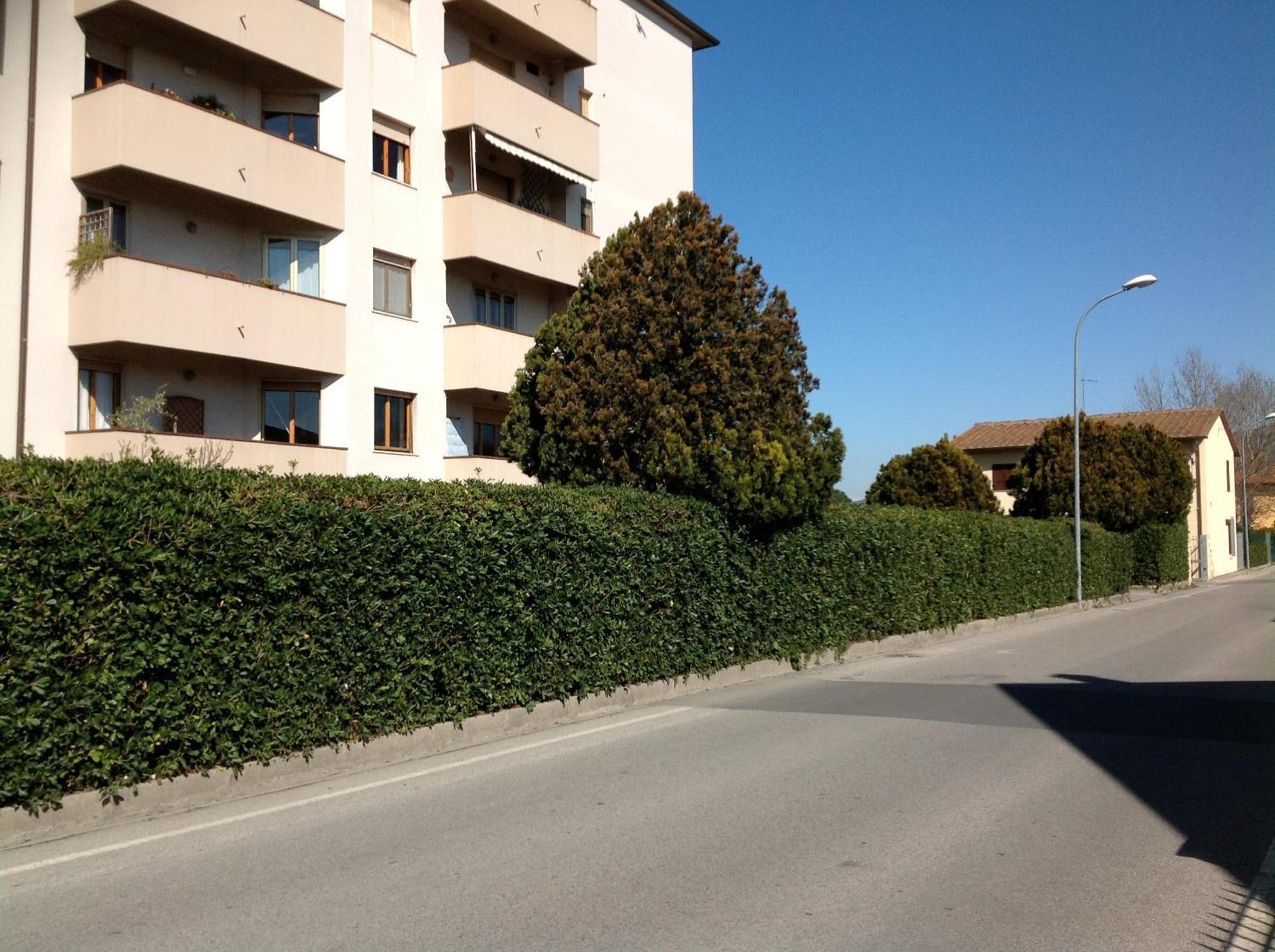 Hotel Cisanello House Pisa Exterior foto